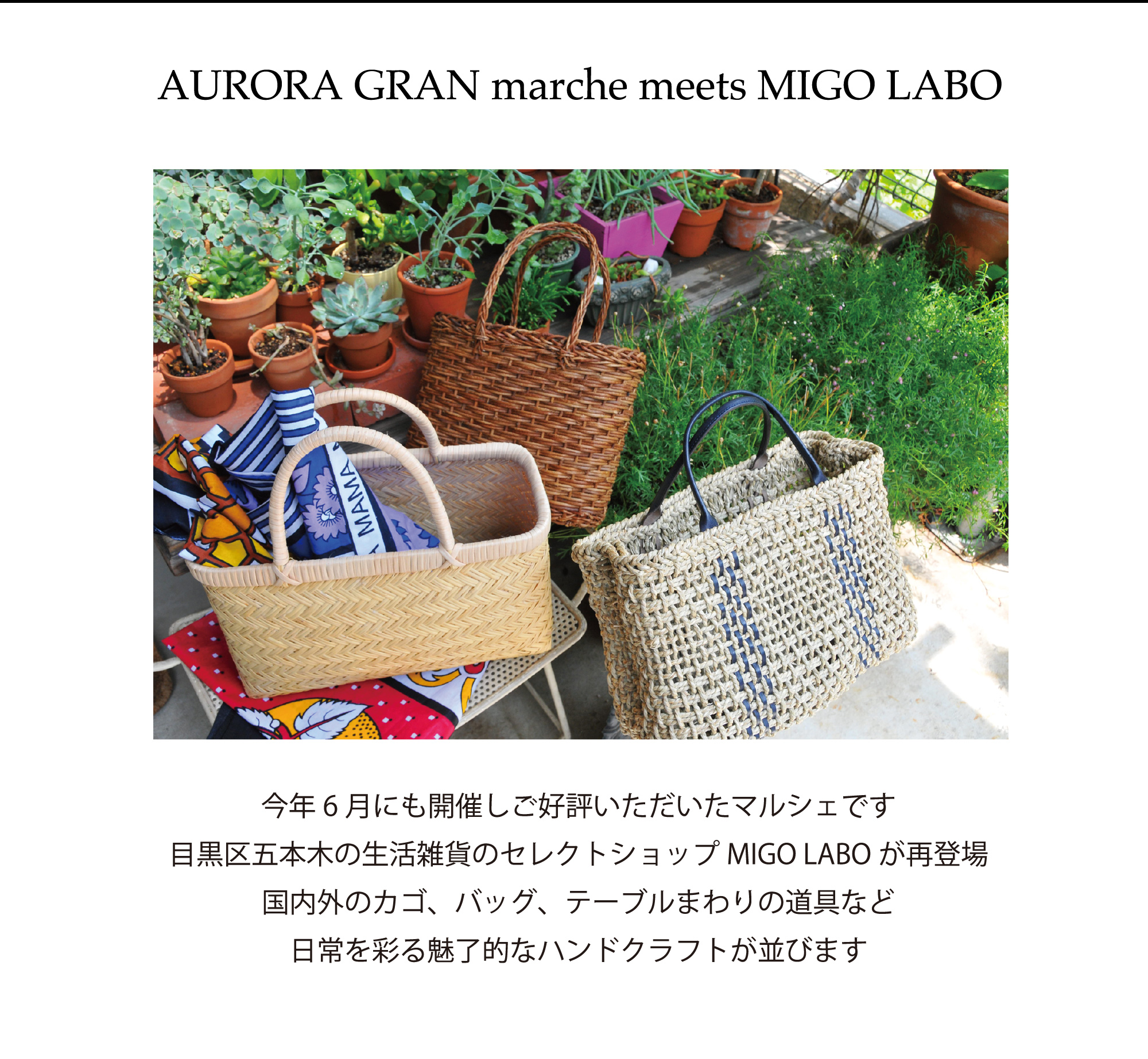 AURORA GRAN march meets MIGO LABO