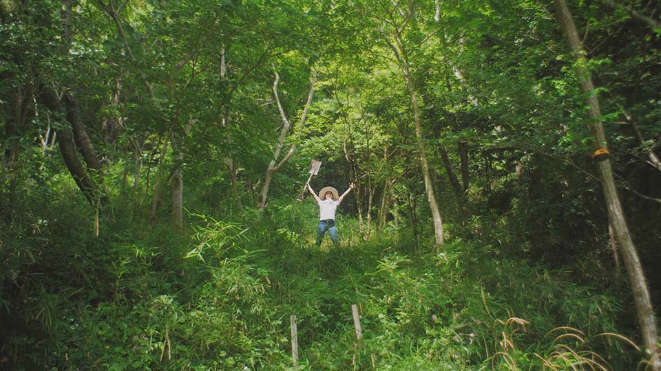 開墾する鈴木の山