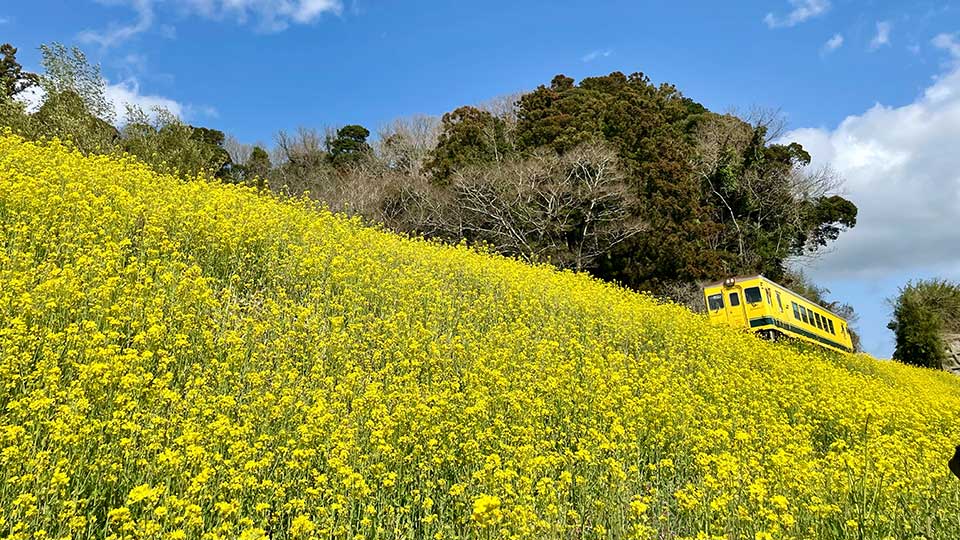 旅する鈴木 vol.58 小さな春の声